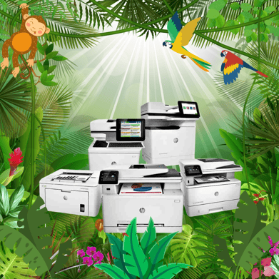 print jungle blog post